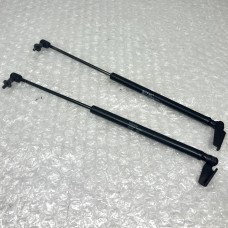 TAILGATE GAS SPRINGS LEFT AND RIGHT