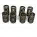 EXHAUST VALVE SPRINGS FOR A MITSUBISHI RVR - N71W