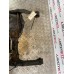 FRONT DIFFERENTIAL 4.900 FOR A MITSUBISHI FRONT AXLE - 