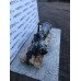 MANUAL GEARBOX + TRANSFER 4WD BOX FOR A MITSUBISHI MANUAL TRANSMISSION - 